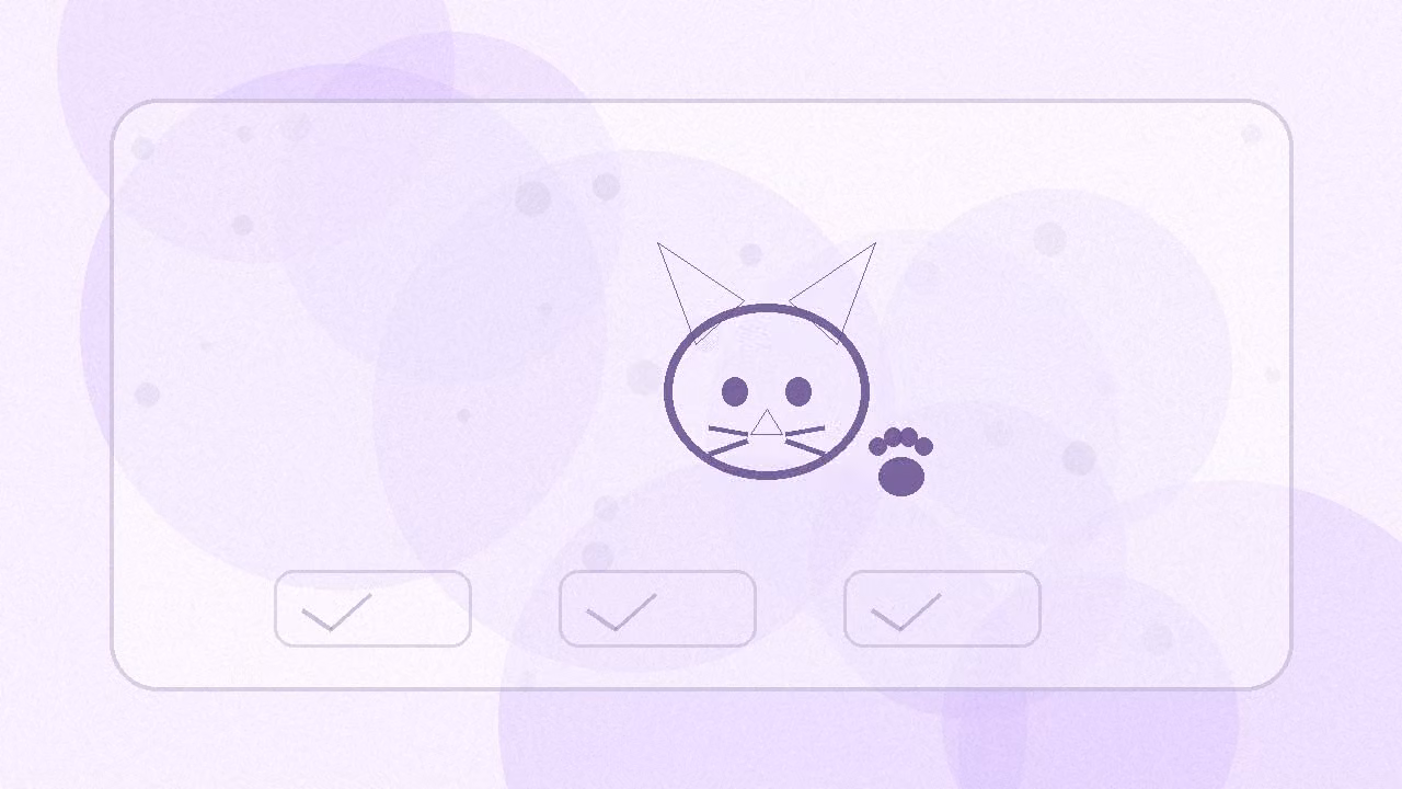 Gatos en Chile: cuidados clave para su bienestar diario: checklist visual