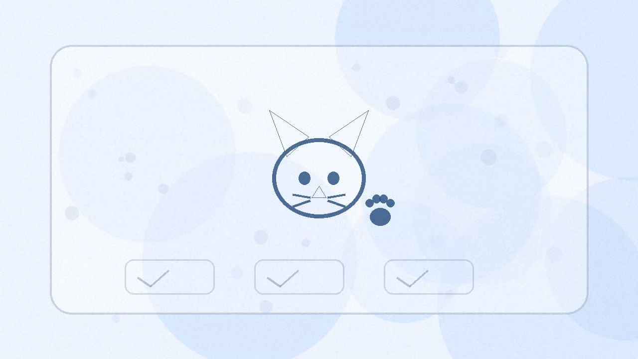 Gatos en España: cuidados clave para su bienestar diario: checklist visual