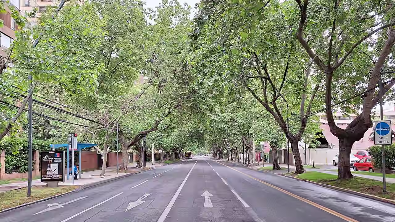 Contexto de circulación y vehículos en Chile