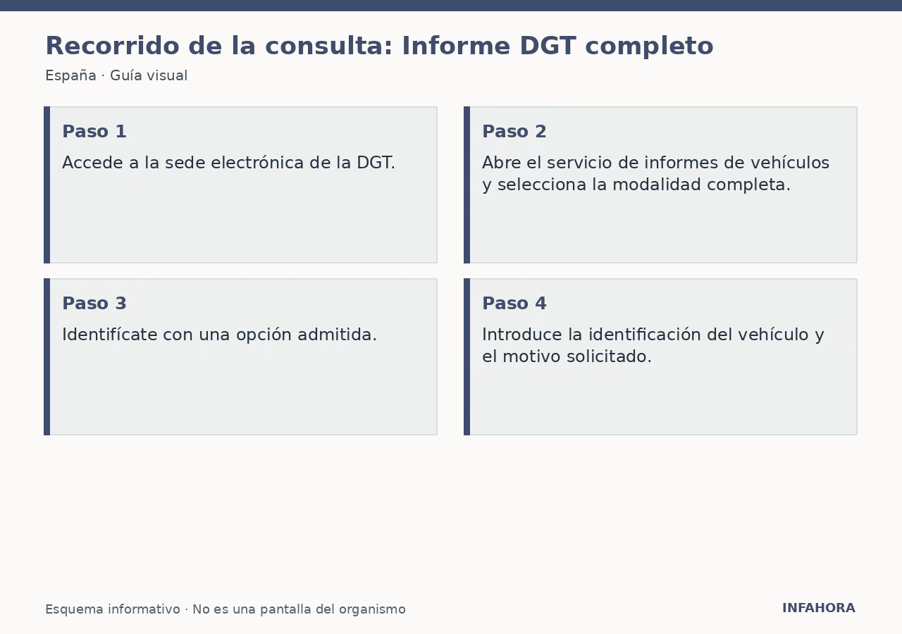 Recorrido de la consulta: Informe DGT completo