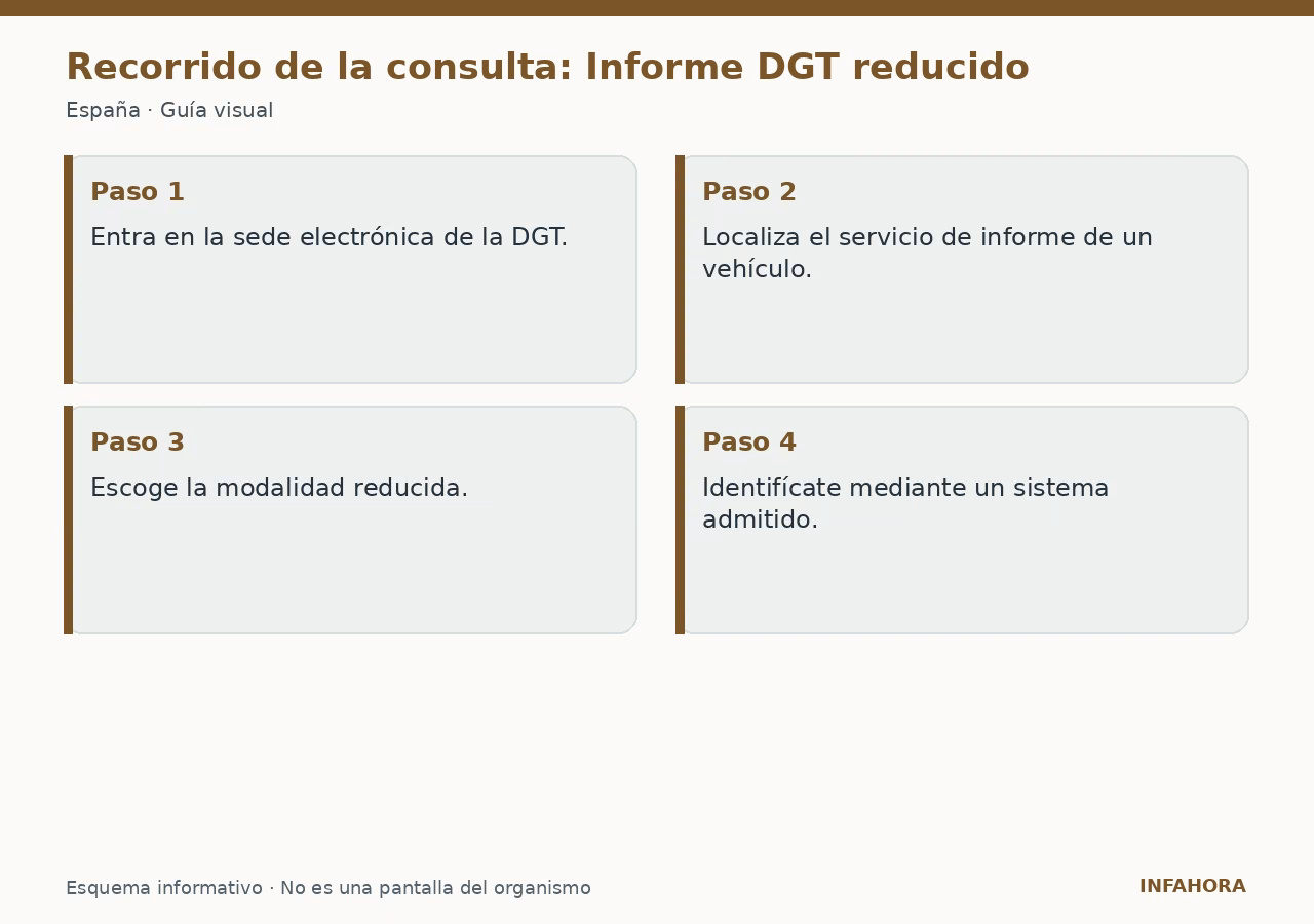 Recorrido de la consulta: Informe DGT reducido