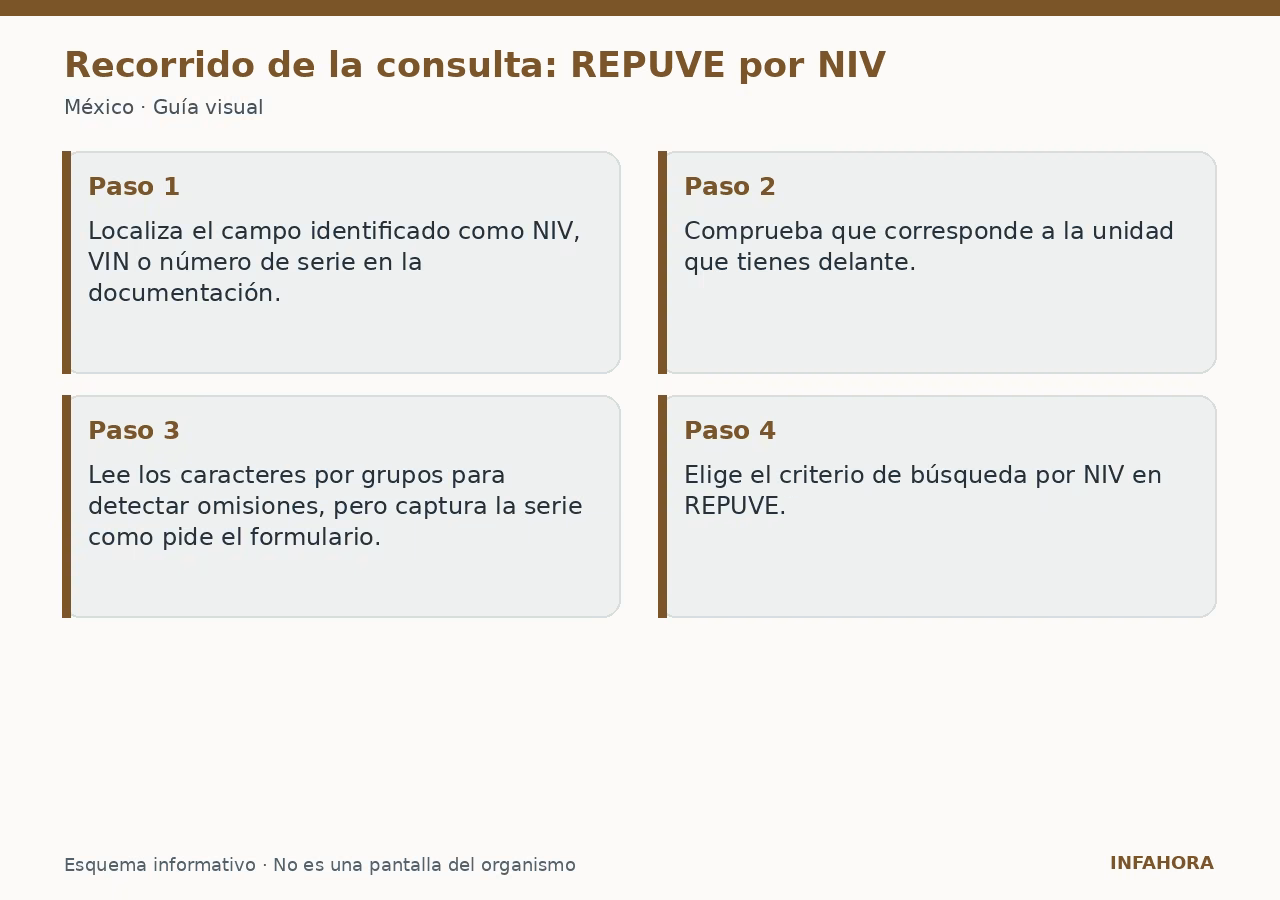 Recorrido de la consulta: REPUVE por NIV